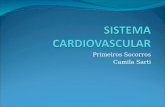 Primeiros Socorros Camila Sarti. SISTEMA CARDIOVASCULAR É composto por : Coração Sangue Vasos Sanguíneos.