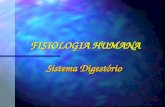 FISIOLOGIA HUMANA Sistema Digestório. Digestão Humana Extracelular Envolve processos mecânicos e químicos.
