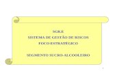1 SGR.E SISTEMA DE GESTÃO DE RISCOS FOCO ESTRATÉGICO SEGMENTO SUCRO-ALCOOLEIRO.
