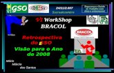 VI WorkShop BRACOL Segurança e Saúde no Trabalho com ética e entusiasmo! Mário Márcio dos Santos Sucroalcooleiro 24/11/2.007 Retrospectiva do GSO Visão.