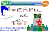 Segurança e Saúde no Trabalho com ética e entusiasmo! Mário Márcio dos Santos Presidente do GSO 02/04/2.009 + uma ação do GSO.