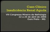 VIII Congresso Mineiro de Nefrologia 22 a 25 de abril de 2009 Ouro Preto – MG.