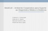 MediColl – Ambiente Cooperativo para Suporte ao Diagnóstico Médico à Distância Cristina F. F. Assunção Elderclei R. Reami Marcelo Knörich Zuffo Roseli.