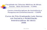 Alice Derntl1 Faculdade de Ciências Médicas de Minas Gerais - Belo Horizonte - FCMMG Centro Interdisciplinar de Assistência e Pesquisa em Envelhecimento.