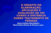 O DESAFIO DA ELABORAÇÃO, APLICAÇÃO E AVALIAÇÃO DE UM CURSO A DISTÂNCIA SOBRE TRATAMENTO DE FERIDAS Maria Andréia Silva Ribeiro Maria Helena Baena de Moraes.