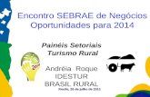 Recife, 26 de julho de 2011 Encontro SEBRAE de Negócios Oportunidades para 2014 Painéis Setoriais Turismo Rural Andréia Roque IDESTUR BRASIL RURAL.