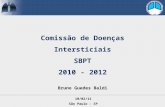 Bruno Guedes Baldi Comissão de Doenças Intersticiais SBPT 2010 - 2012 10/02/11 São Paulo - SP.