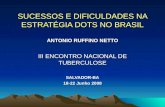 SUCESSOS E DIFICULDADES NA ESTRATÉGIA DOTS NO BRASIL ANTONIO RUFFINO NETTO III ENCONTRO NACIONAL DE TUBERCULOSE SALVADOR-BA 18-22 Junho 2008.