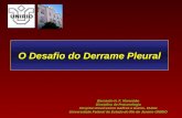 O Desafio do Derrame Pleural Bernardo H. F. Maranhão Disciplina de Pneumologia Hospital Universitário Gaffreé e Guinle- HUGG Universidade Federal do Estado.