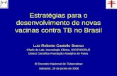 Estratégias para o desenvolvimento de novas vacinas contra TB no Brasil Luiz Roberto Castello Branco Chefe do Lab. Imunologia Clinica. IOC/FIOCRUZ Diretor.