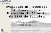 ISO 9001:2000 Avaliação de Processos de Transporte e Dispersão do Efluente da ETAR de Sesimbra Paulo Leitão (Hidromod)