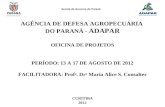 Escola de Governo do Paraná AGÊNCIA DE DEFESA AGROPECUÁRIA DO PARANÁ - ADAPAR OFICINA DE PROJETOS PERÍODO: 13 A 17 DE AGOSTO DE 2012 FACILITADORA: Prof.