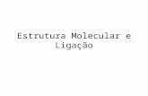 Estrutura Molecular e Ligação. Estruturas de Lewis A compreensão da química inorgânica depende da correlação entre as propriedades químicas dos compostos.