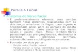 1 Paralisia Facial Anatomia do Nervo Facial É preferencialmente eferente, mas contém também fibras aferentes, relacionadas com os dois terços anteriores.