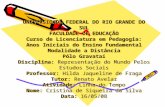 UNIVERSIDADE FEDERAL DO RIO GRANDE DO SUL FACULDADE DE EDUCAÇÃO Curso de Licenciatura em Pedagogia: Anos Iniciais do Ensino Fundamental Modalidade a Distância.