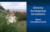Direito Ambiental brasileiro Base Constitucional.