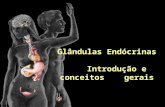Glândulas Endócrinas Introdução e conceitos gerais.