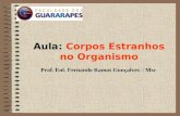 Aula: Corpos Estranhos no Organismo Prof. Enf. Fernando Ramos Gonçalves – Msc.