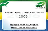 MODELO PARA RELATÓRIO MODALIDADE PROCESSO 2006 PREMIO QUALIDADE AMAZONAS.