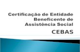 CEBAS. Educação Saúde Assistência Social Atividade econômica principal constante no CNPJ Demonstrações contábeis Atos constitutivos Relatório de atividades.