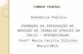 CAMARA FEDERAL Audiência Pública PROMOÇÃO DA INTEGRAÇÃO AO MERCADO DE TRABALHO ATRAVÉS DA SÓCIO – APRENDIZAGEM. Profª Maria Cecilia Ziliotto Março/2013.