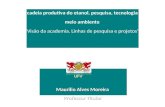 Maurilio Alves Moreira Professor Titular A cadeia produtiva do etanol, pesquisa, tecnologia e meio ambiente Visão da academia. Linhas de pesquisa e projetos.