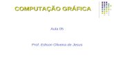 COMPUTAÇÃO GRÁFICA Aula 05 Prof. Edison Oliveira de Jesus.