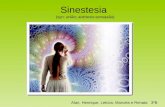 Sinestesia (syn: união; aisthesis:sensasão) Alan, Henrique, Letícia, Marcela e Renata 3ºB.