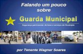 Por Tenente Wagner Soares Segurança patrimonial, de bens e serviços do Município Falando um pouco sobre.