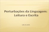 Perturbações da Linguagem: Leitura e Escrita Julho de 2010.