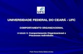 Profa: Tereza Cristina Batista de Lima UNIVERSIDADE FEDERAL DO CEARÁ - UFC COMPORTAMENTO ORGANIZACIONAL Unidade II: Comportamento Organizacional e Processos.