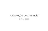 A Evolução dos Animais 3. Ano 2011. Introdução Mais de um milhão de espécies catalogadas; Podem ser divididos em 30 filos; Estudaremos 9 (Ufa!);