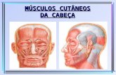 MÚSCULOS CUTÂNEOS DA CABEÇA. MUSCULOS CUTÂNEOS DA CABEÇA (Expressão Facial) Inervação motora - Nervo facial (VII par) Músculos cutâneos do crânio Músculos.