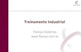 Treinamento Industrial Flexsys Sistemas