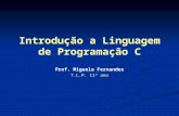 Introdução a Linguagem de Programação C Prof. Miguela Fernandes T.L.P. 11º ano.