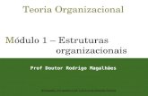 Teoria Organizacional Módulo 1 – Estruturas organizacionais Prof Doutor Rodrigo Magalhães Bibliografia: Ver também CAP. 5 do livro de Sebastião Teixeira.