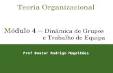 1 Teoria Organizacional Módulo 4 – Dinâmica de Grupos e Trabalho de Equipa Prof Doutor Rodrigo Magalhães.