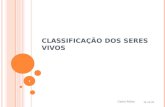 CLASSIFICAÇÃO DOS SERES VIVOS 23-04-2014 1 Carlos Palma.