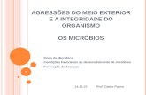 AGRESSÕES DO MEIO EXTERIOR E A INTEGRIDADE DO ORGANISMO OS MICRÓBIOS Tipos de Micróbios Condições Favoráveis ao desenvolvimento de micróbios Prevenção.