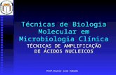 Prof.Doutor José Cabeda Técnicas de Biologia Molecular em Microbiologia Clínica TÉCNICAS DE AMPLIFICAÇÃO DE ÁCIDOS NUCLEICOS.