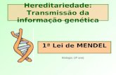 Hereditariedade: Transmissão da informação genética 1ª Lei de MENDEL Biologia: (3º ano)