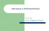Herança e Polimorfismo P. O. O. Prof. Ângela e Grace.
