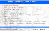 BRASIL COLÔNIA (1500 – 1822) Profa. Fábia fabiaalves2@hotmail.com A ECONOMIA CANAVIEIRA 1 - O CICLO DO AÇÚCAR Séc. XVI e XVII (auge). Nordeste (BA e PE).