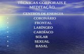 TÉCNICAS CORPORAIS E MEDITAÇÃO CENTROS DE ENERGIA CORONÁRIO FRONTAL LARÍNGEO CARDÍACO SOLAR SEXUAL BASAL.