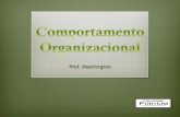 Prof. Washington. O comportamento Organizacional (CO) refere-se ao estudo de indivíduos e grupos atuando em organizações. Preocupa- se com a influência.