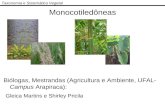 Taxonomia e Sistemática Vegetal Monocotiledôneas Biólogas, Mestrandas (Agricultura e Ambiente, UFAL- Campus Arapiraca): Gleica Martins e Shirley Pricila.