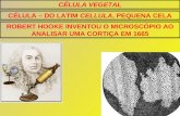CÉLULA VEGETAL CÉLULA – DO LATIM CELLULA, PEQUENA CELA ROBERT HOOKE INVENTOU O MICROSCÓPIO AO ANALISAR UMA CORTIÇA EM 1665.