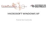 MICROSOFT WINDOWS XP Painel de Controle. FERRAMENTAS DO PAINEL DE CONTROLE.