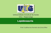 Prof. Guilherme Ferreira de Lima Filho Universidade Estadual de Goiás Unu - Itapuranga Lepidosauria.