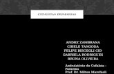 ANDRE ZAMBRANA CIBELE TANGODA FELIPE BISCEGLI CID GABRIELA RODRIGUES BRUNA OLIVEIRA CEFALEIAS PRIMARIAS Ambulatório de Cefaleia - Famema Prof. Dr. Milton.